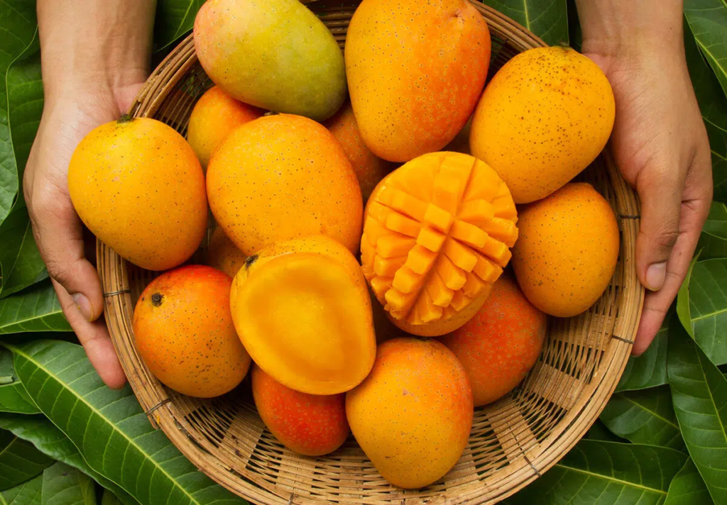 buah mangga