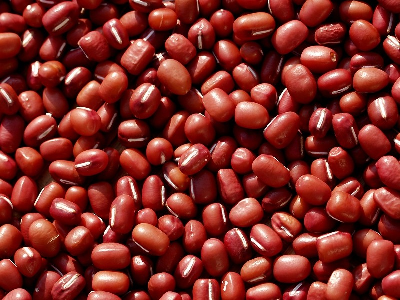 kacang merah