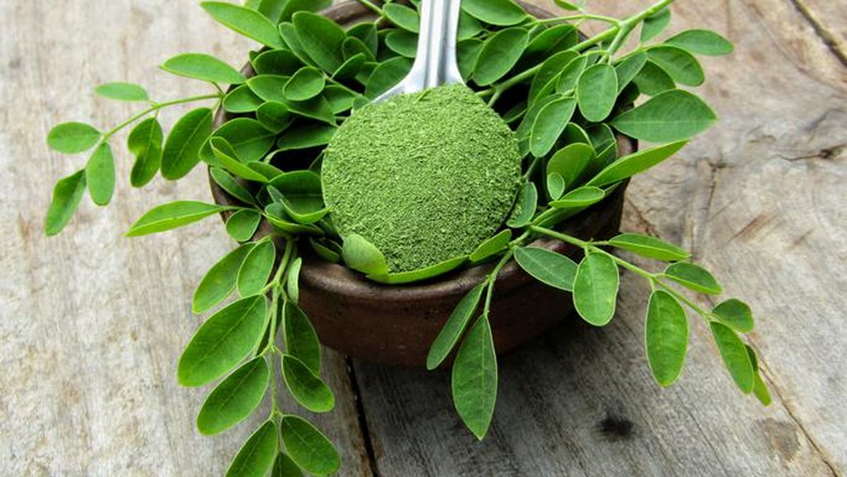 Manfaat Daun Kelor untuk Kesehatan: Superfood Alami dengan Nutrisi Lengkap