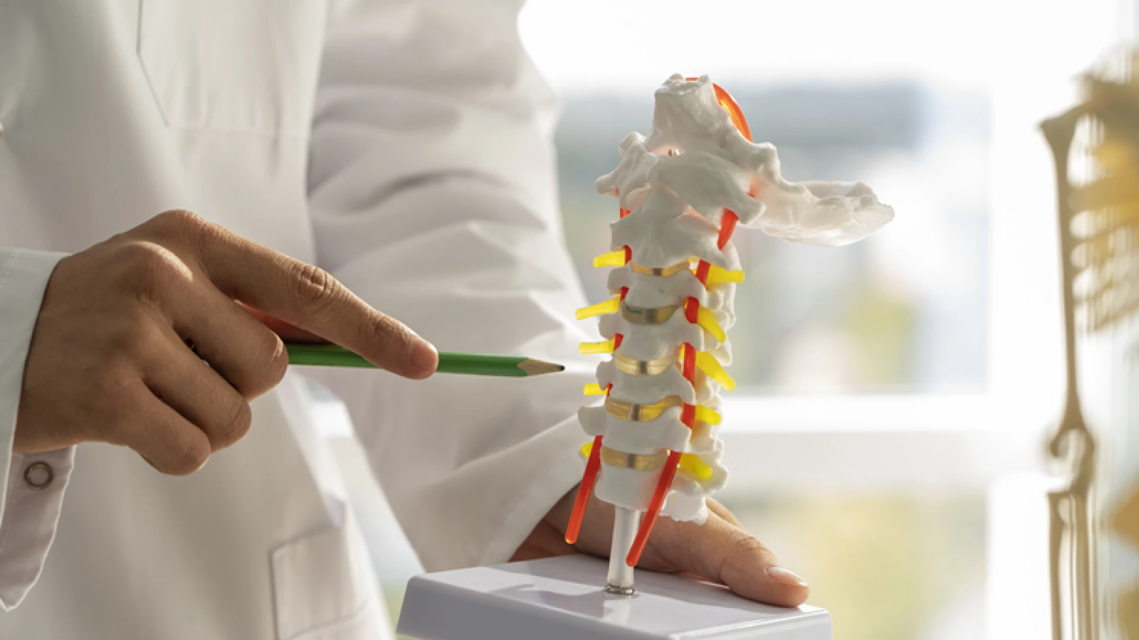 Menabung Kekuatan Tulang Sejak Muda Bisa Jadi Langkah Cerdas untuk Mencegah Osteoporosis