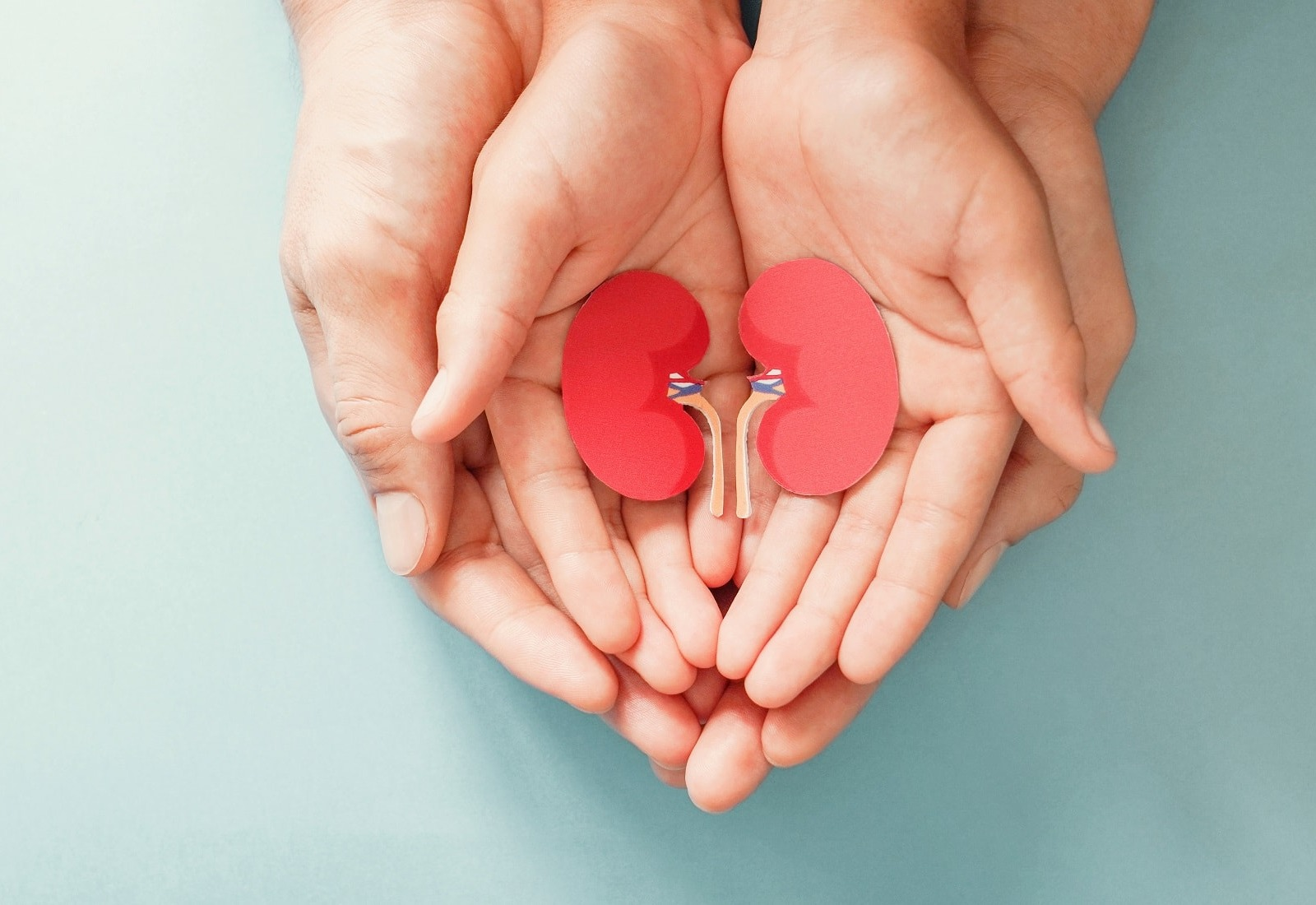 Menjaga Kesehatan Ginjal Sejak Dini Membantu Organ yang Bekerja dalam Senyap Ini Tetap Kuat
